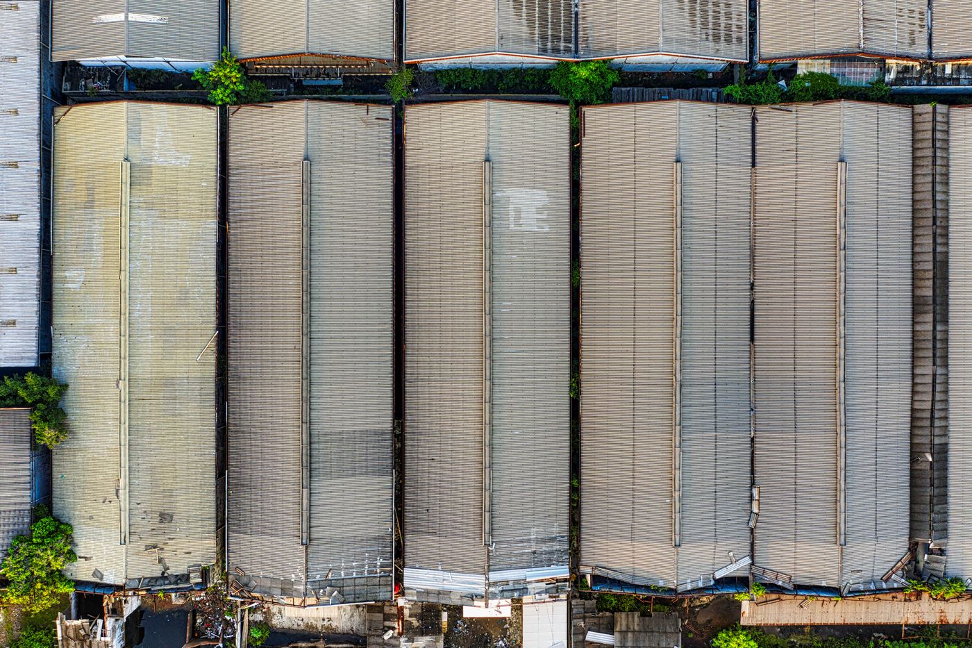 Vista aérea de una batería de galpones de almacenamiento de grano